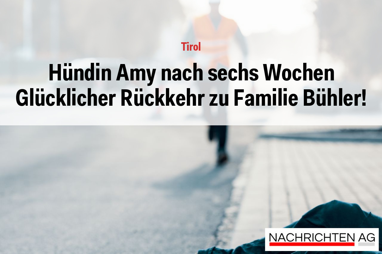 Hündin Amy nach sechs Wochen Glücklicher Rückkehr zu Familie Bühler!