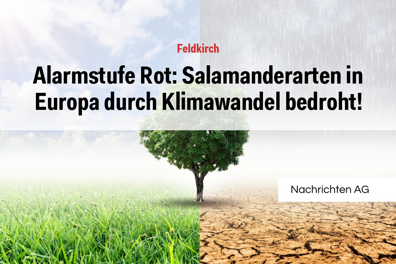 Alarmstufe Rot: Salamanderarten in Europa durch Klimawandel bedroht!