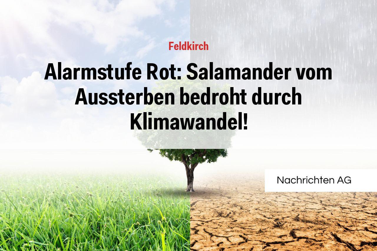 Alarmstufe Rot: Salamander vom Aussterben bedroht durch Klimawandel!