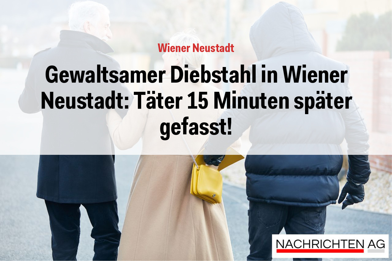 Gewaltsamer Diebstahl in Wiener Neustadt: Täter 15 Minuten später gefasst!