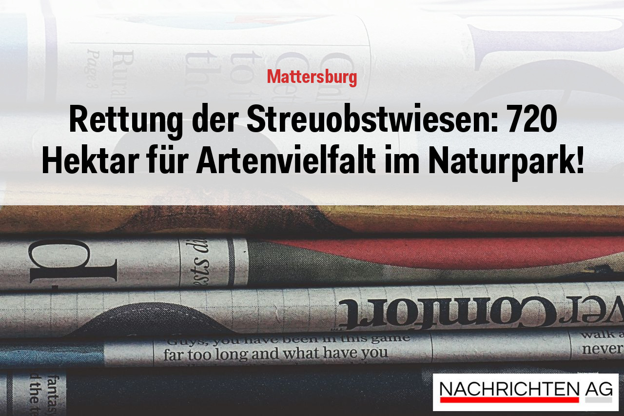 Rettung der Streuobstwiesen: 720 Hektar für Artenvielfalt im Naturpark!
