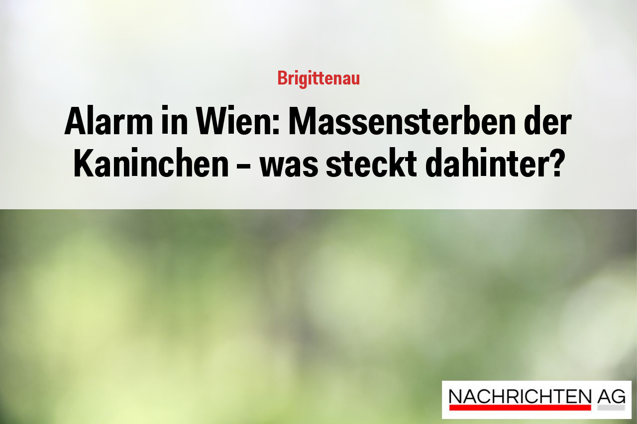 Alarm in Wien: Massensterben der Kaninchen – was steckt dahinter?